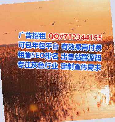 宝山代生商贸公司